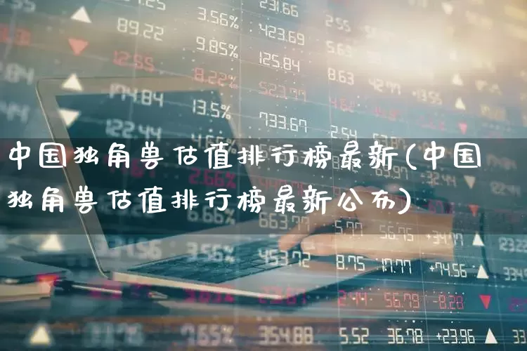 中国独角兽估值排行榜最新(中国独角兽估值排行榜最新公布)_https://www.hhem8.com_北交所_第1张