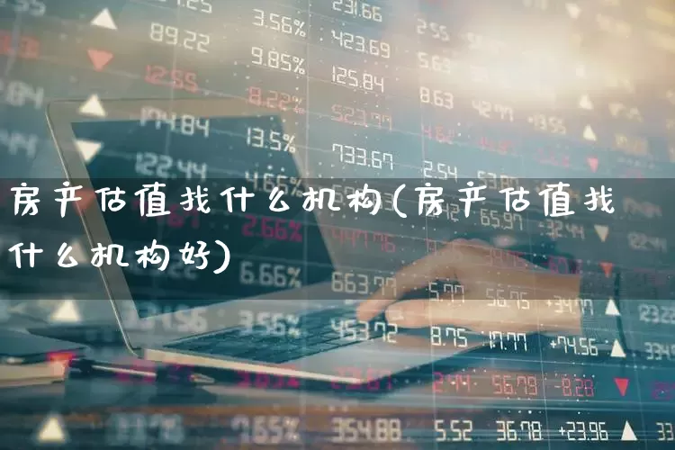 房产估值找什么机构(房产估值找什么机构好)_https://www.hhem8.com_上交所_第1张