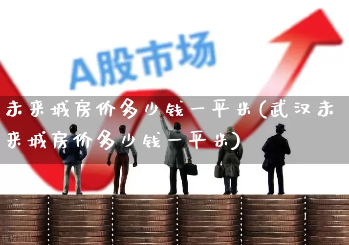 未来城房价多少钱一平米(武汉未来城房价多少钱一平米)_https://www.hhem8.com_深交所_第1张