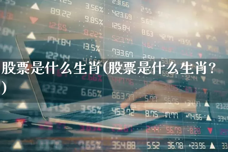 股票是什么生肖(股票是什么生肖?)_https://www.hhem8.com_上交所_第1张