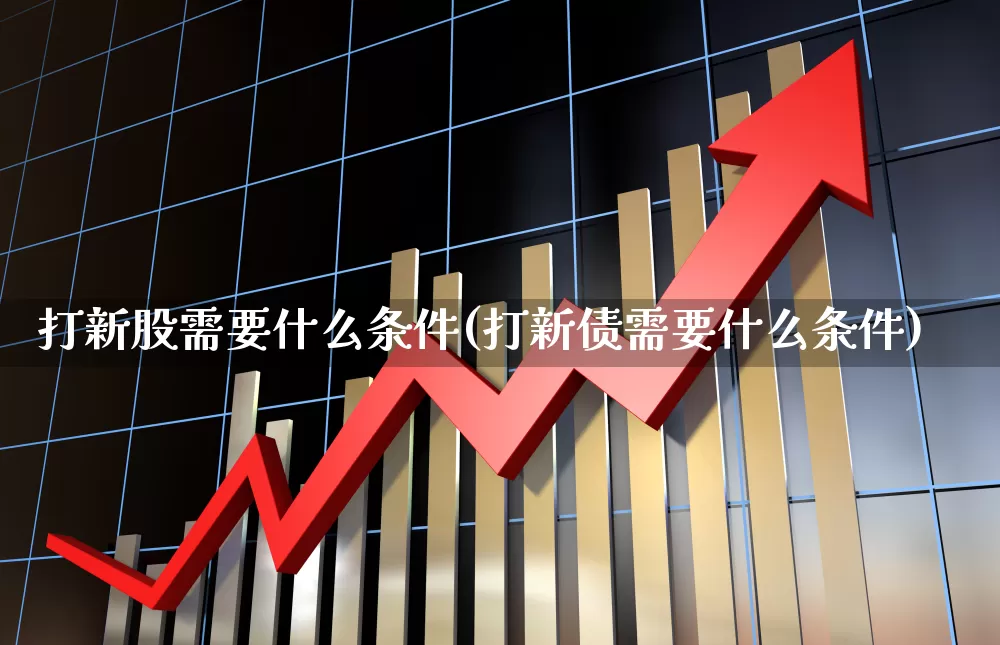 打新股需要什么条件(打新债需要什么条件)_https://www.hhem8.com_北交所_第1张