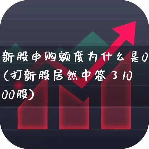 新股申购额度为什么是0(打新股居然中签了1000股)_https://www.hhem8.com_北交所_第1张