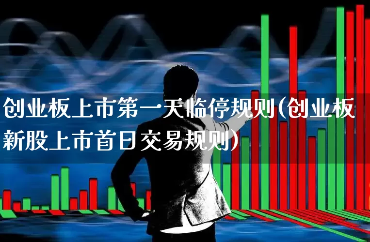 创业板上市第一天临停规则(创业板新股上市首日交易规则)_https://www.hhem8.com_北交所_第1张
