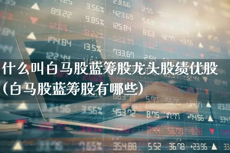 什么叫白马股蓝筹股龙头股绩优股(白马股蓝筹股有哪些)_https://www.hhem8.com_北交所_第1张