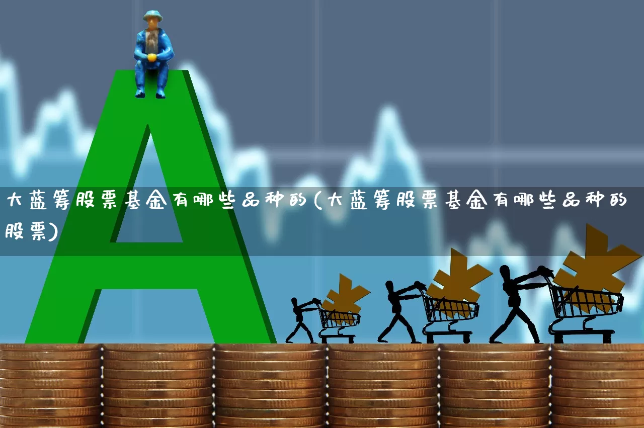 大蓝筹股票基金有哪些品种的(大蓝筹股票基金有哪些品种的股票)_https://www.hhem8.com_深交所_第1张