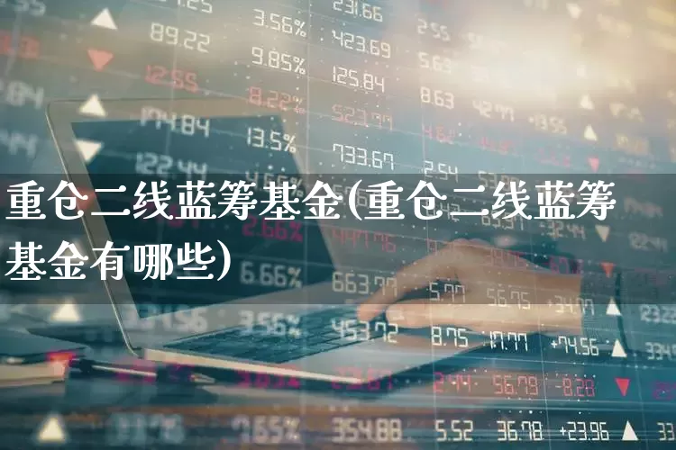 重仓二线蓝筹基金(重仓二线蓝筹基金有哪些)_https://www.hhem8.com_上交所_第1张