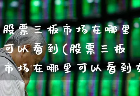 股票三板市场在哪里可以看到(股票三板市场在哪里可以看到交易)_https://www.hhem8.com_科创板_第1张