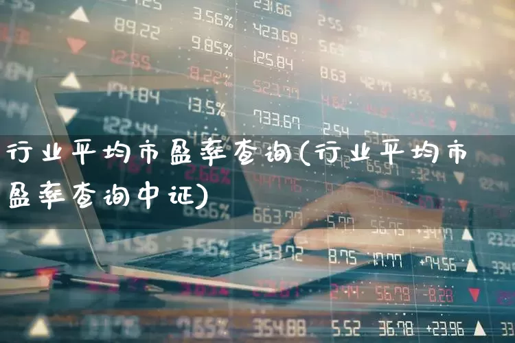 行业平均市盈率查询(行业平均市盈率查询中证)_https://www.hhem8.com_创业板_第1张