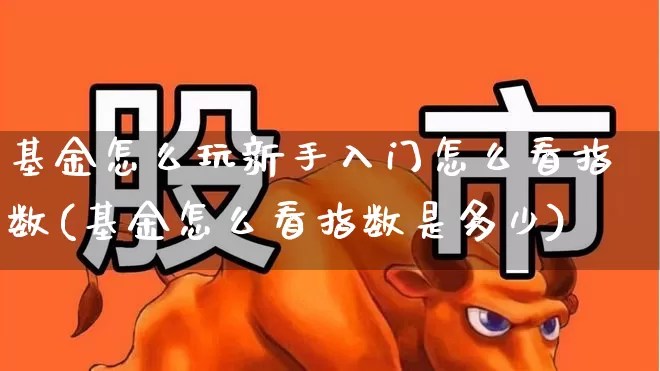 基金怎么玩新手入门怎么看指数(基金怎么看指数是多少)_https://www.hhem8.com_深交所_第1张