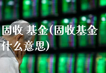 固收 基金(固收基金什么意思)_https://www.hhem8.com_创业板_第1张