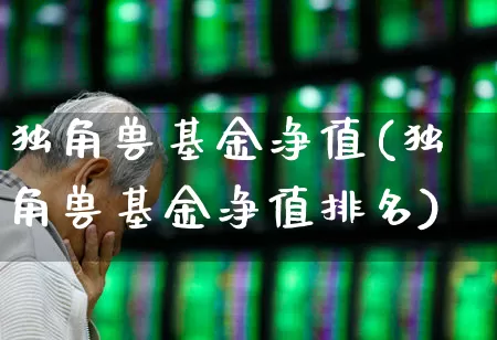 独角兽基金净值(独角兽基金净值排名)_https://www.hhem8.com_北交所_第1张
