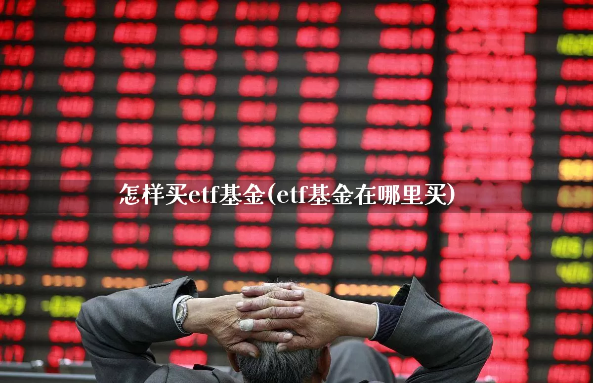 怎样买etf基金(etf基金在哪里买)_https://www.hhem8.com_深交所_第1张