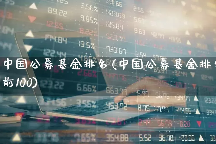 中国公募基金排名(中国公募基金排名前100)_https://www.hhem8.com_北交所_第1张