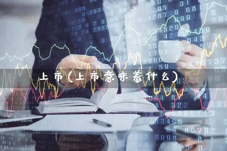 上市(上市意味着什么)_https://www.hhem8.com_北交所_第1张