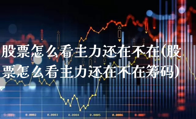 股票怎么看主力还在不在(股票怎么看主力还在不在筹码)_https://www.hhem8.com_上交所_第1张