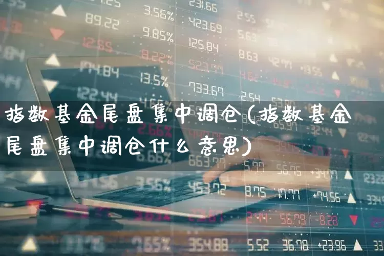 指数基金尾盘集中调仓(指数基金尾盘集中调仓什么意思)_https://www.hhem8.com_科创板_第1张