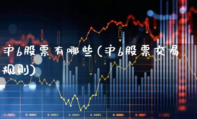 沪b股票有哪些(沪b股票交易规则)_https://www.hhem8.com_北交所_第1张