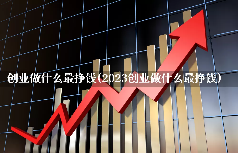 创业做什么最挣钱(2023创业做什么最挣钱)_https://www.hhem8.com_上交所_第1张