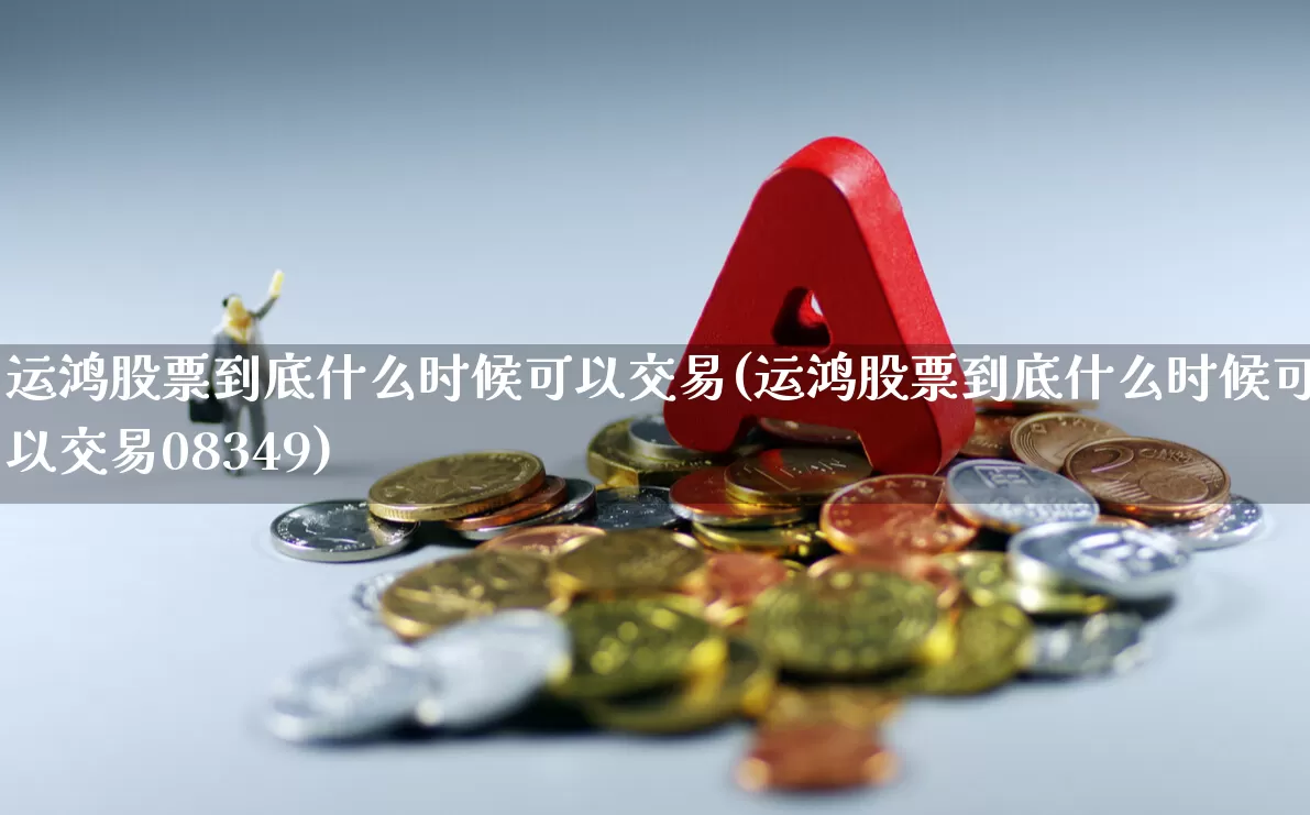 运鸿股票到底什么时候可以交易(运鸿股票到底什么时候可以交易08349)_https://www.hhem8.com_深交所_第1张