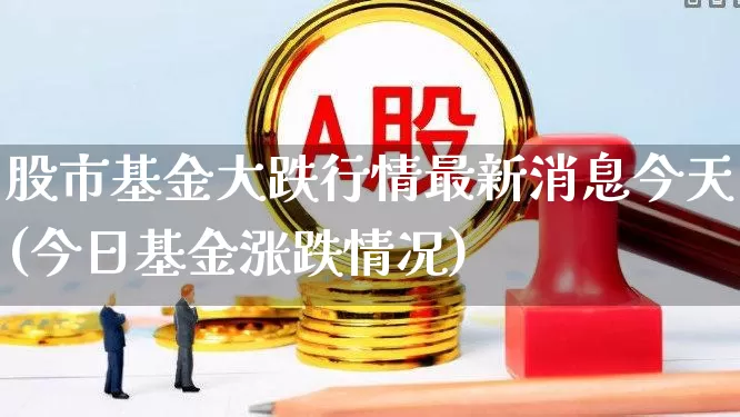 股市基金大跌行情最新消息今天(今日基金涨跌情况)_https://www.hhem8.com_创业板_第1张