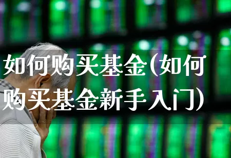 如何购买基金(如何购买基金新手入门)_https://www.hhem8.com_科创板_第1张