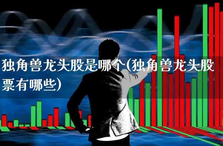 独角兽龙头股是哪个(独角兽龙头股票有哪些)_https://www.hhem8.com_上交所_第1张