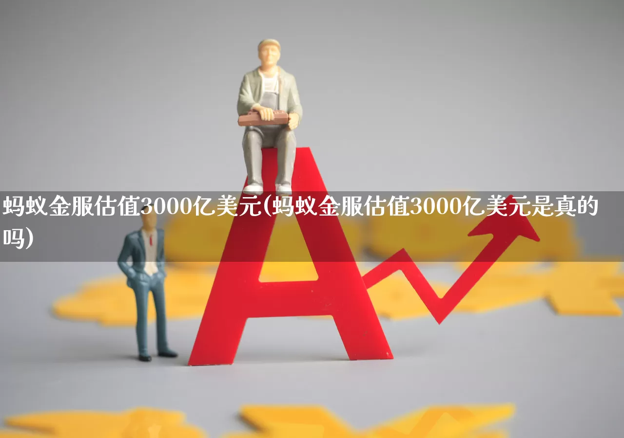蚂蚁金服估值3000亿美元(蚂蚁金服估值3000亿美元是真的吗)_https://www.hhem8.com_深交所_第1张