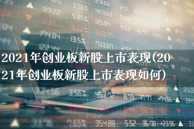 2021年创业板新股上市表现(2021年创业板新股上市表现如何)_https://www.hhem8.com_创业板_第1张