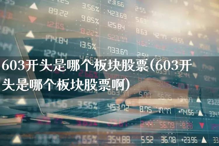 603开头是哪个板块股票(603开头是哪个板块股票啊)_https://www.hhem8.com_深交所_第1张