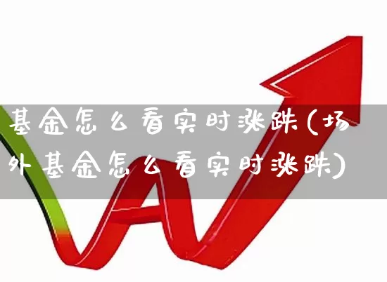基金怎么看实时涨跌(场外基金怎么看实时涨跌)_https://www.hhem8.com_北交所_第1张