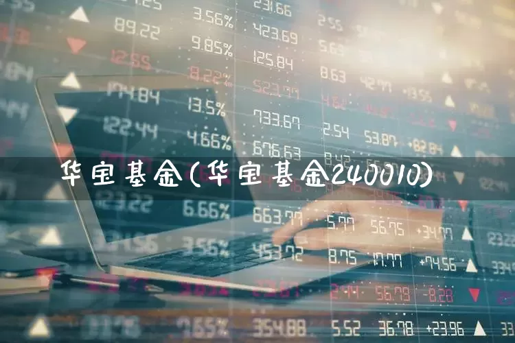 华宝基金(华宝基金240010)_https://www.hhem8.com_科创板_第1张