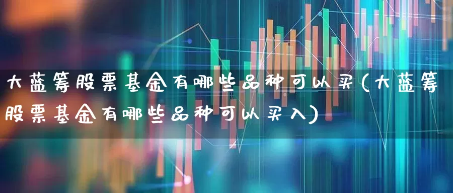 大蓝筹股票基金有哪些品种可以买(大蓝筹股票基金有哪些品种可以买入)_https://www.hhem8.com_北交所_第1张