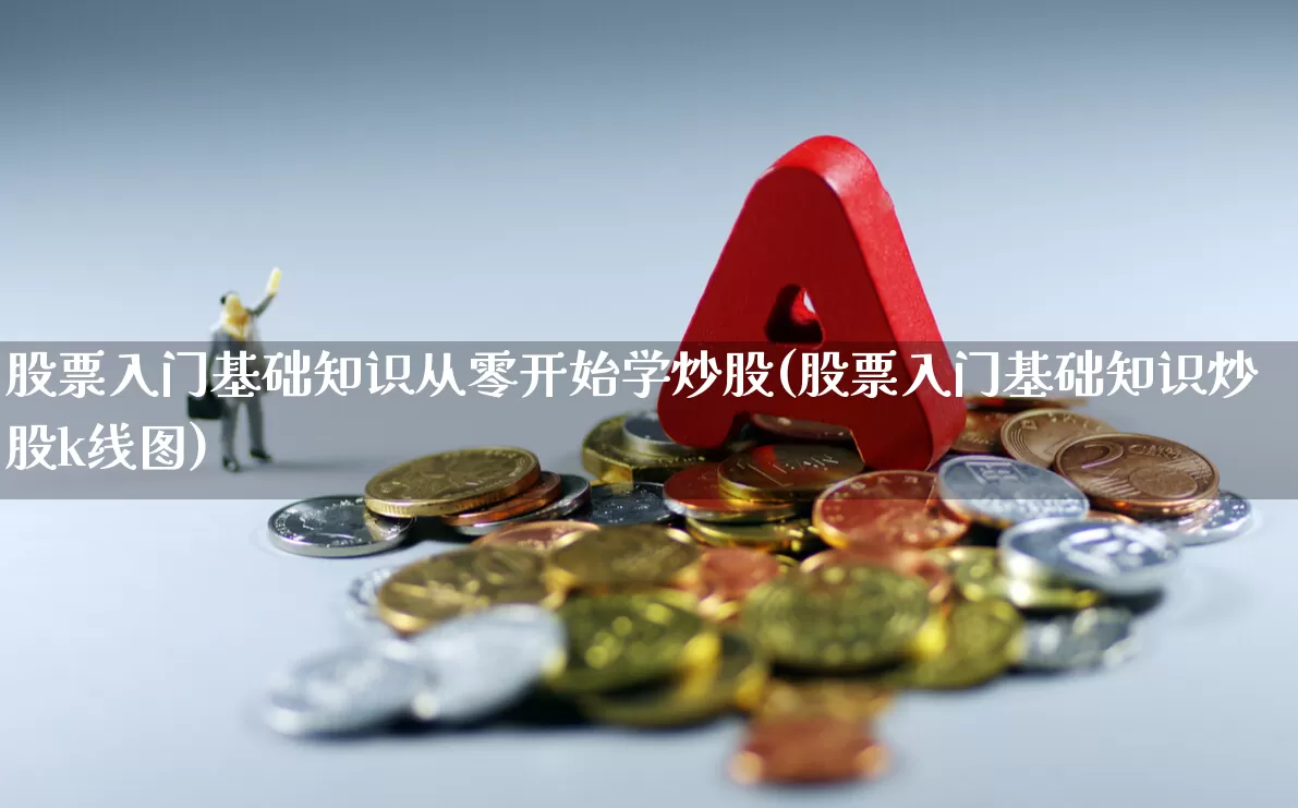 股票入门基础知识从零开始学炒股(股票入门基础知识炒股k线图)_https://www.hhem8.com_北交所_第1张