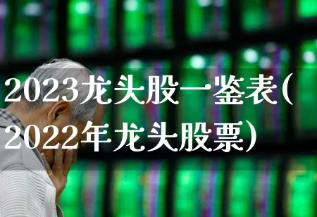 2023龙头股一鉴表(2022年龙头股票)_https://www.hhem8.com_上交所_第1张