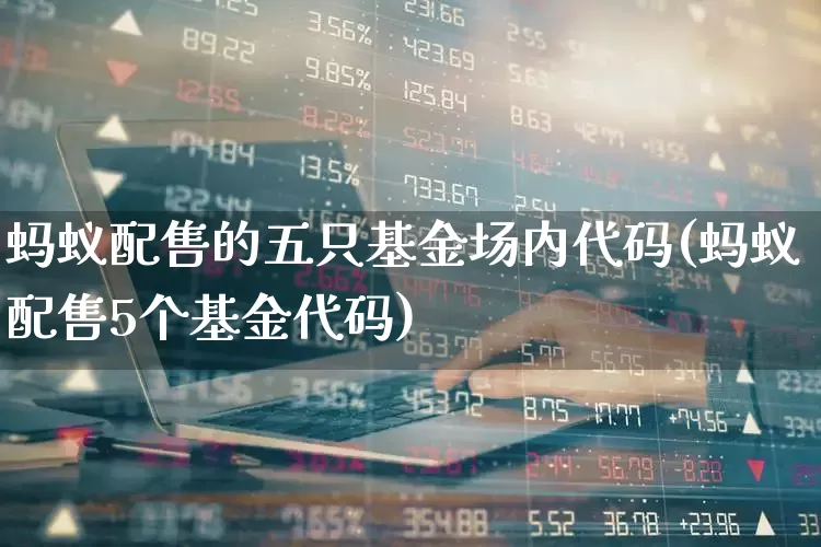 蚂蚁配售的五只基金场内代码(蚂蚁配售5个基金代码)_https://www.hhem8.com_北交所_第1张