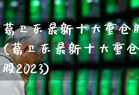 葛卫东最新十大重仓股(葛卫东最新十大重仓股2023)_https://www.hhem8.com_科创板_第1张